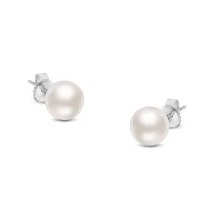 14K Gold Round White Saltwater Akoya Cultured Pearl Stud Earrings AAA  Quality - Choice of MM Size