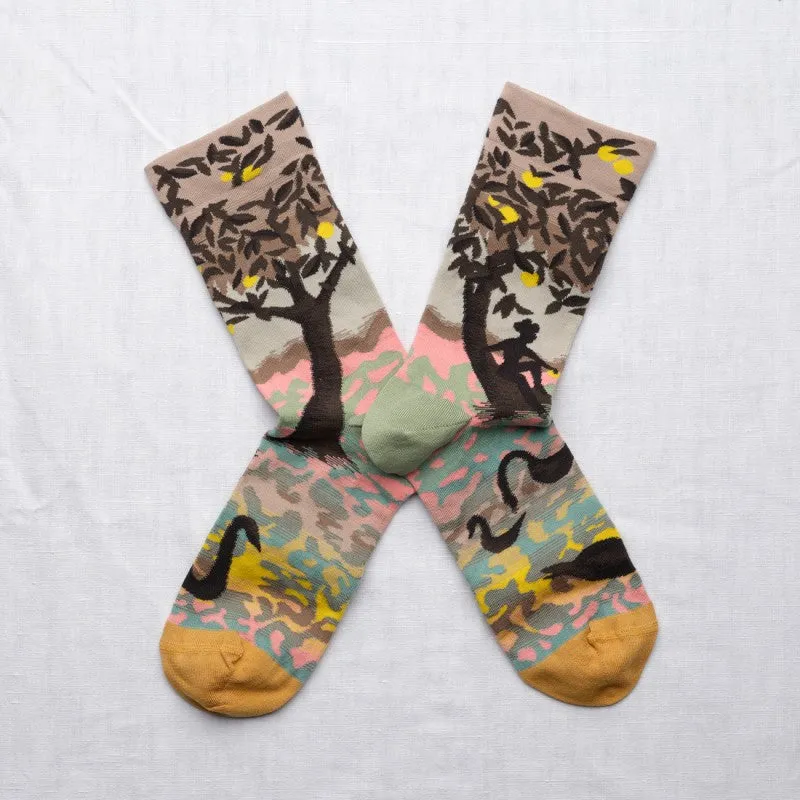 Bonne Maison Socks - Various Colours Patterned