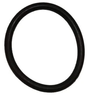 Hoover Style AG Convertible Belt [049258AG]