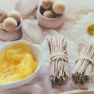 Perfume Chick Aloe Fresh Shea Butters