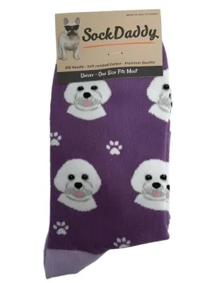 Socks  Bichon Frise Dog      800-4  H