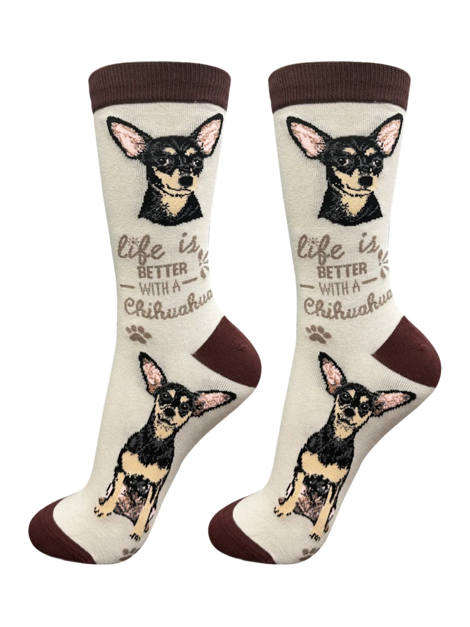 Socks  Chihuahua Dog   Black  840-11