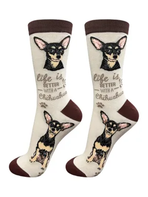Socks  Chihuahua Dog   Black  840-11