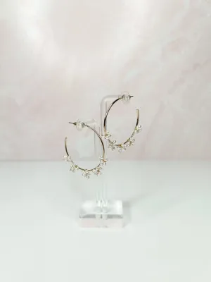 Timeless Hoops